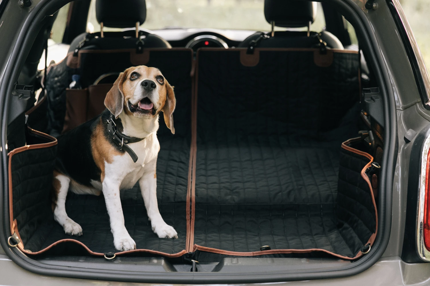 Golden Retrievers back seat cover for Hyundai Palisade