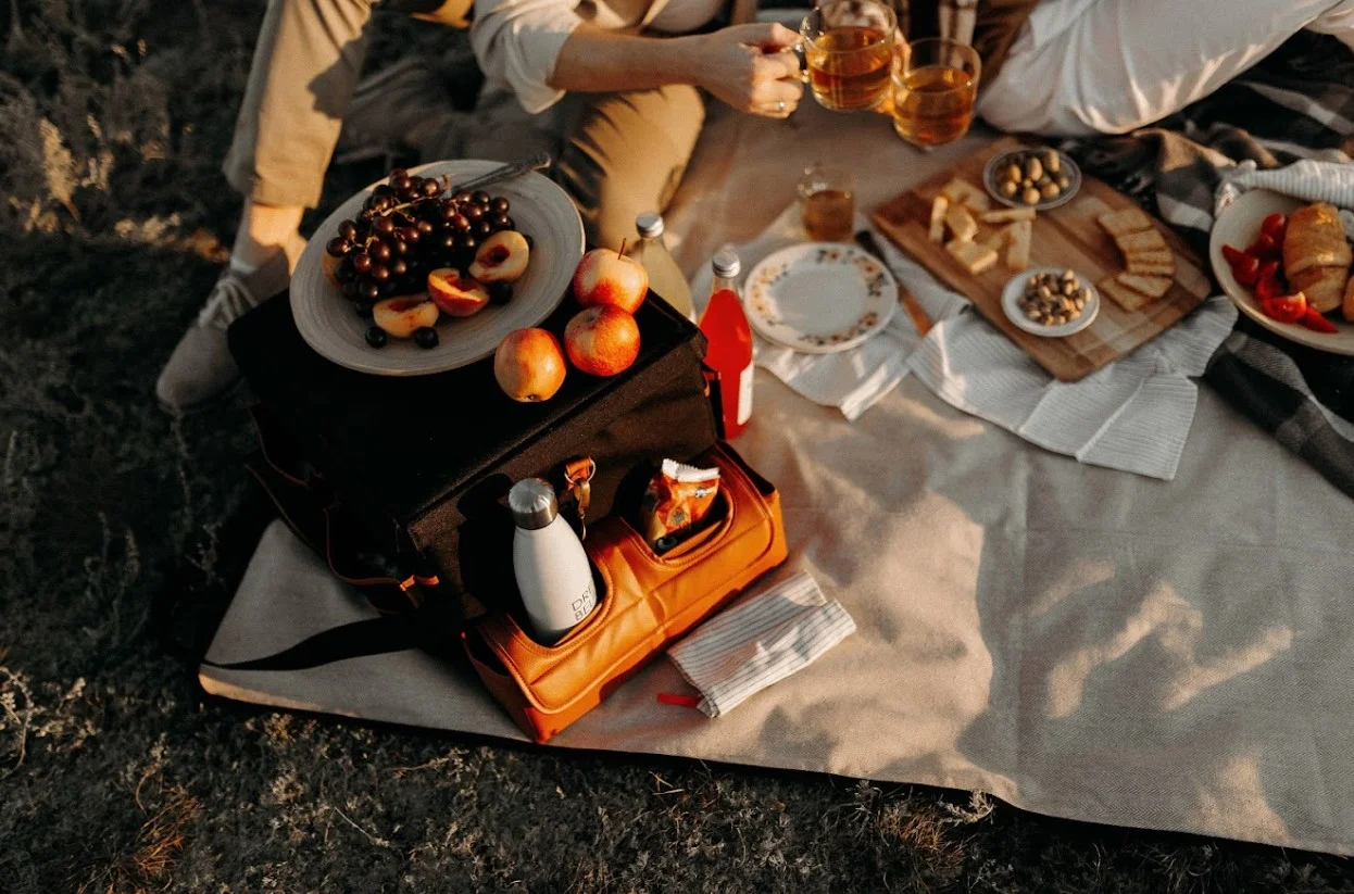 best large picnic blanket