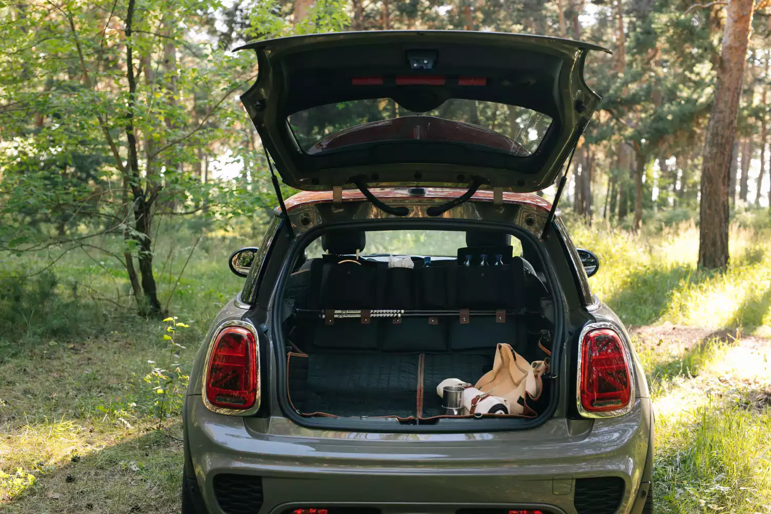 dog back seat cover for Tesla Model Y