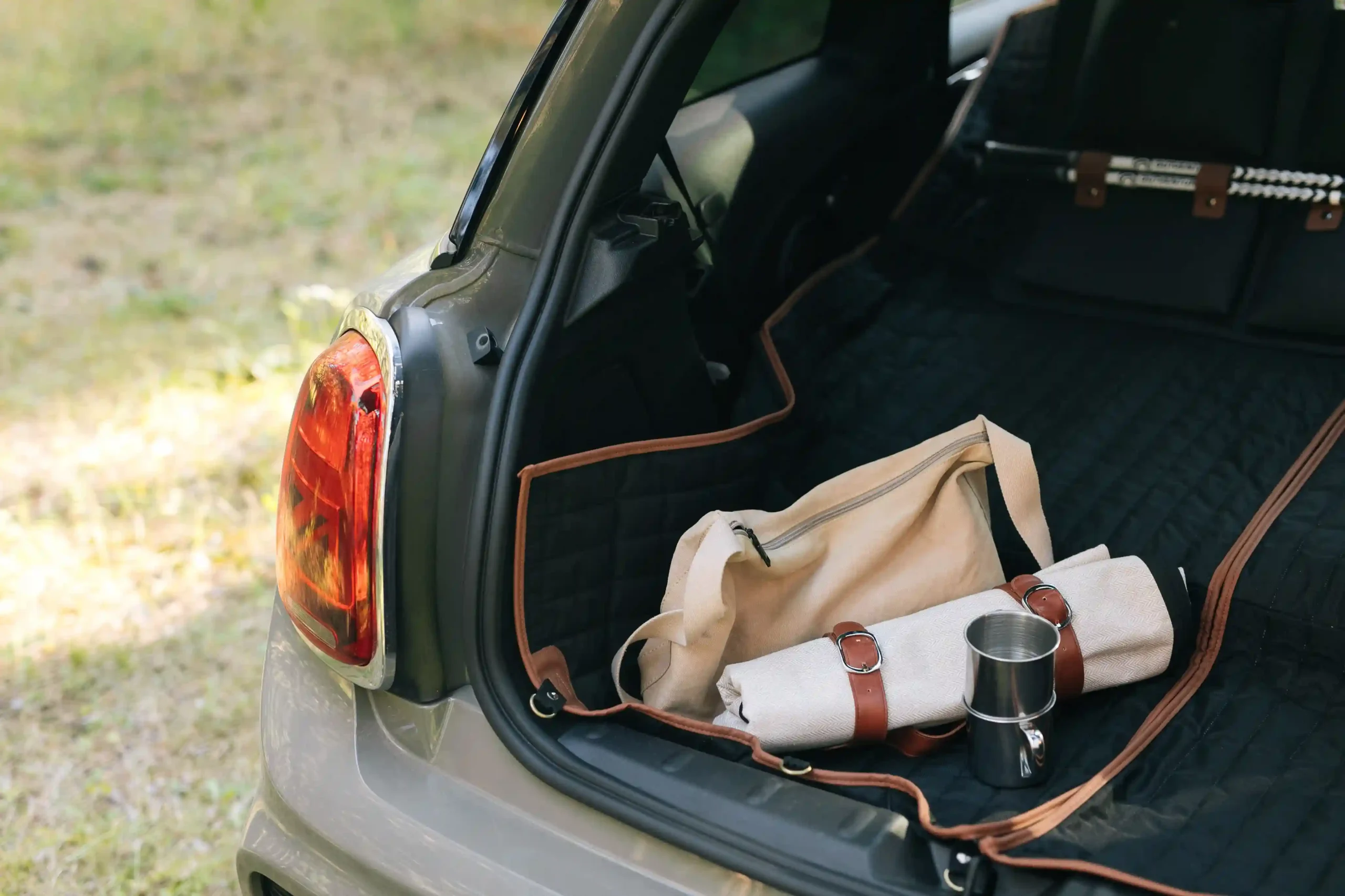 best baby picnic blanket