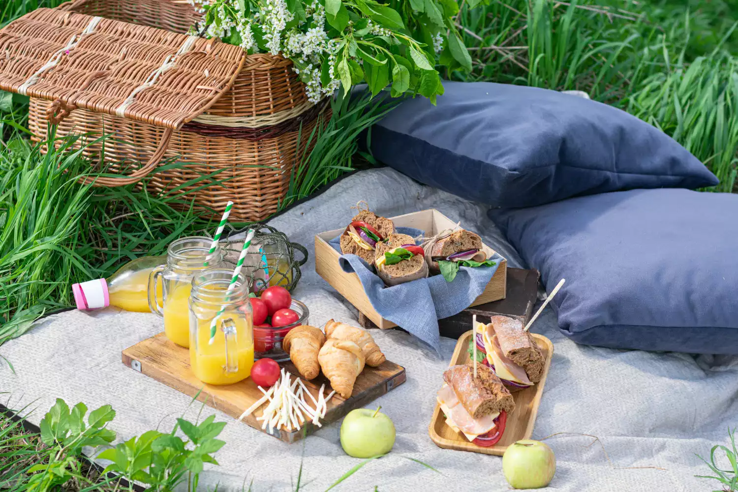 packable picnic blanket