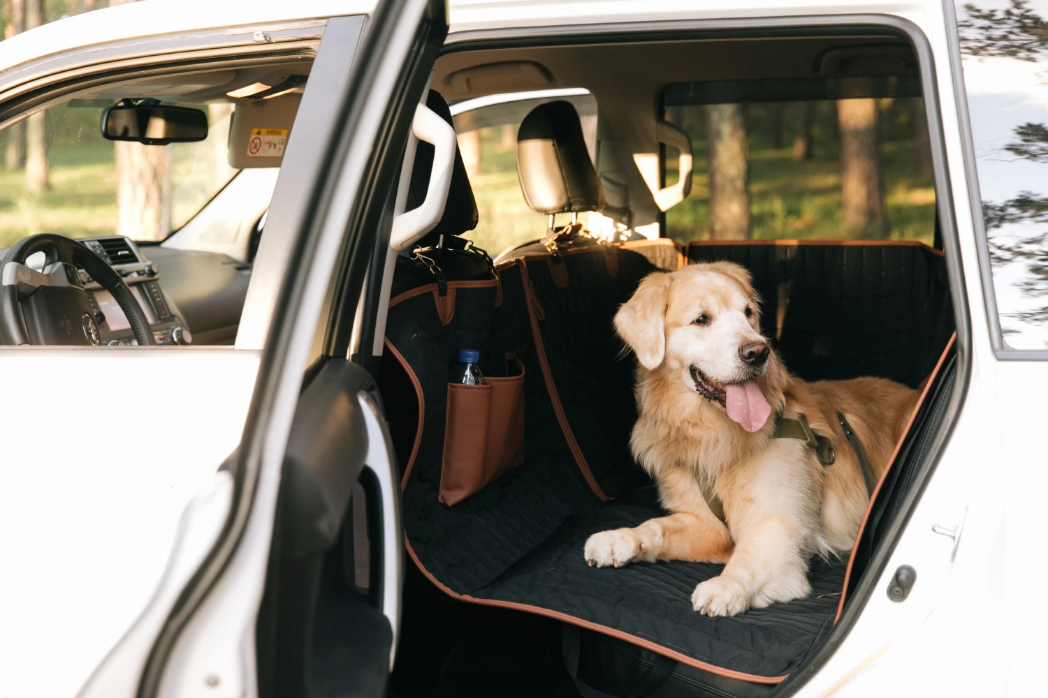 Hyundai Sonata back seat cover for Greater Swiss Mountain Dogs