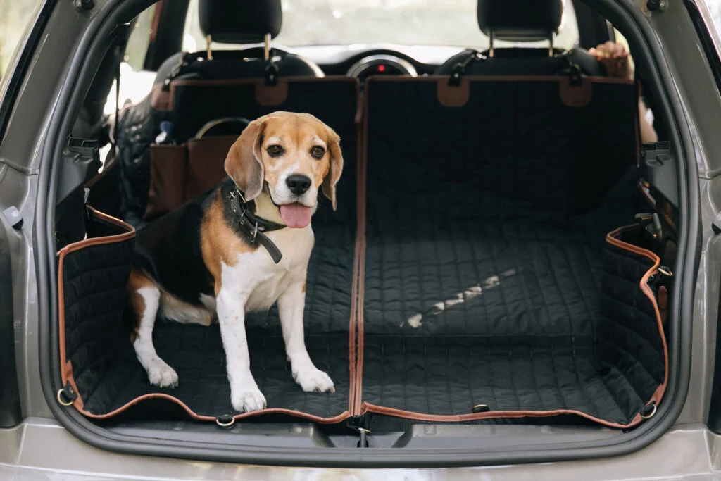 Cavalier King Charles Spaniels back seat cover for Honda Fit