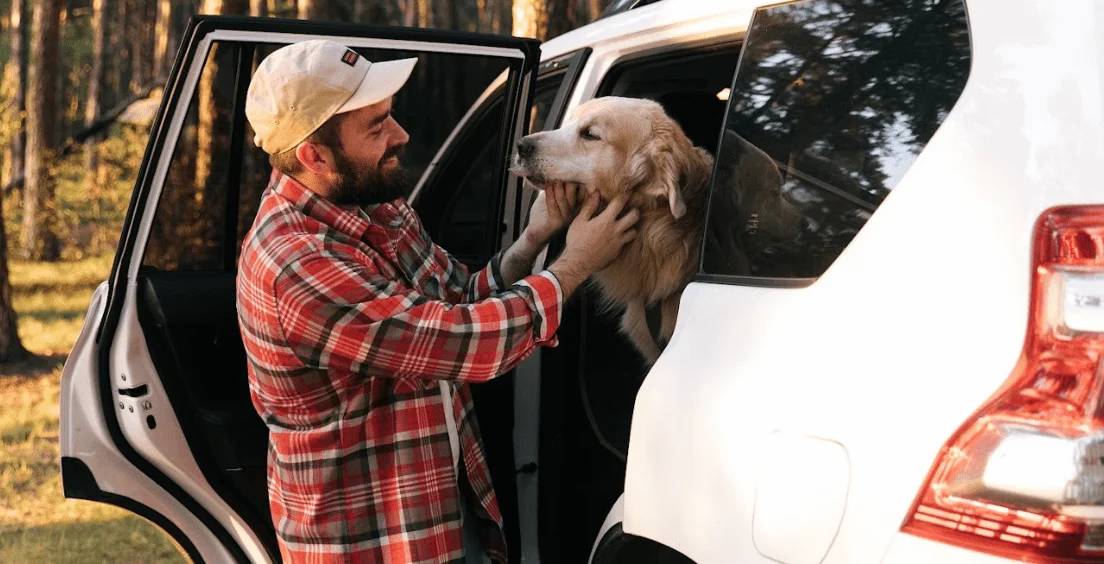 Irish Wolfhounds  Dog Safety Belt for Hyundai Sonata